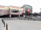 ベルク　柏しこだ店まで1000m ハーヴェスト