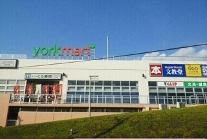 ヨークフーズ新柏店まで620m シリウス柏