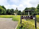 富塚公園まで700m ウエスト　バニラ