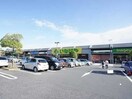 いなげやまで1200m アルモニー