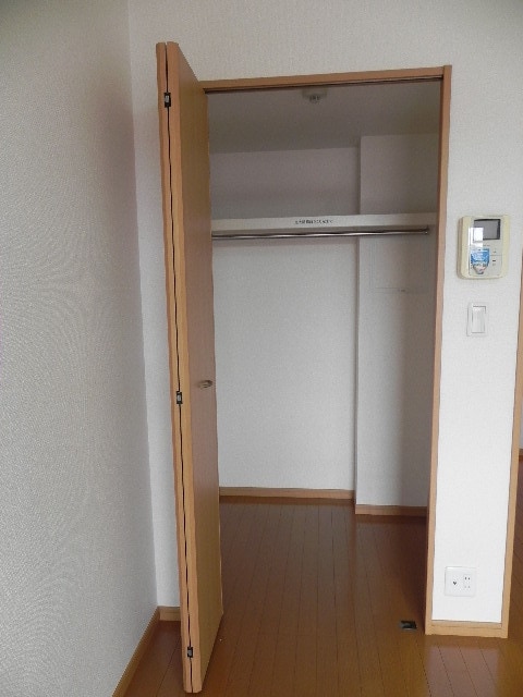  ルピナス