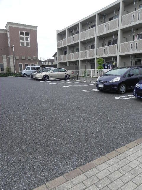  ルピナス