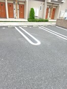  フレスクーラ