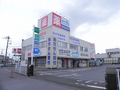 ウエルシア沼南店まで2000m フレスクーラ