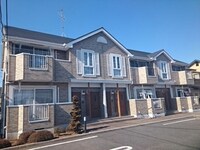 エバーグリーンアララギ