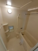  エバーグリーンアララギ