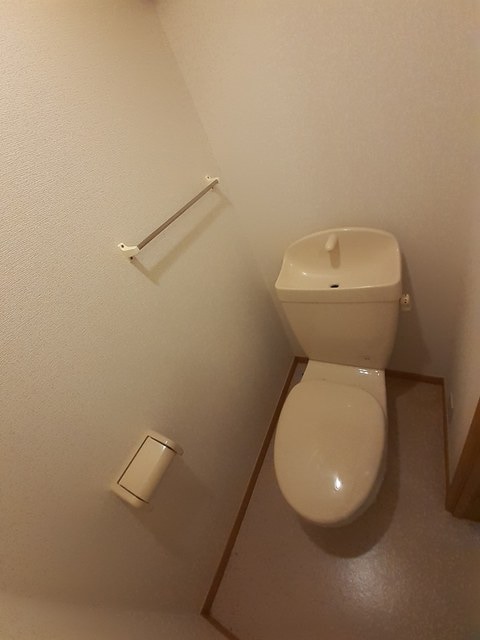  エバーグリーンアララギ