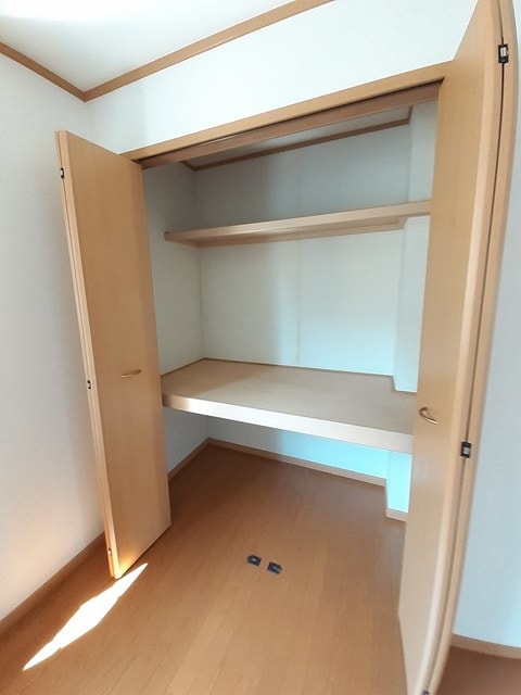  エバーグリーンアララギ