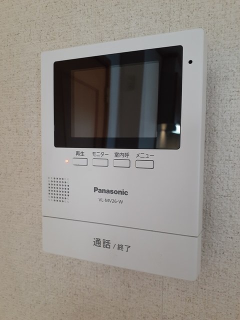  エバーグリーンアララギ