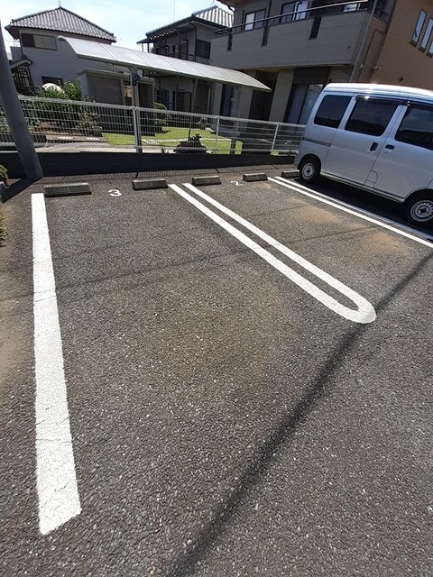  エバーグリーンアララギ