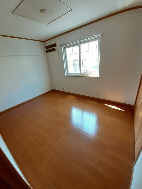  エバーグリーンアララギ