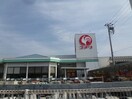 コメリまで550m マルグレーテ
