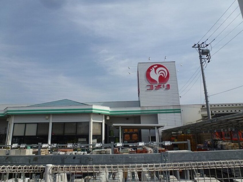 コメリまで550m マルグレーテ