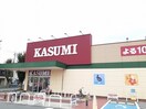 カスミまで199m 南新木ヒルズハイツII