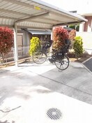  エレガンスブライト　Ｋ