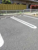  プリムローズ