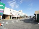 パルシステムまで270m プリムローズ