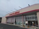 しまむらまで900m タートルヒルズ２ｎｄ