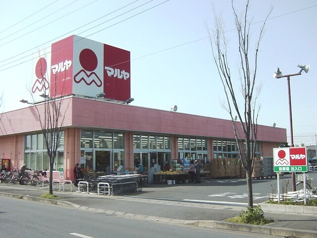 マルヤ新木店まで707ｍ クレイスヴィラ