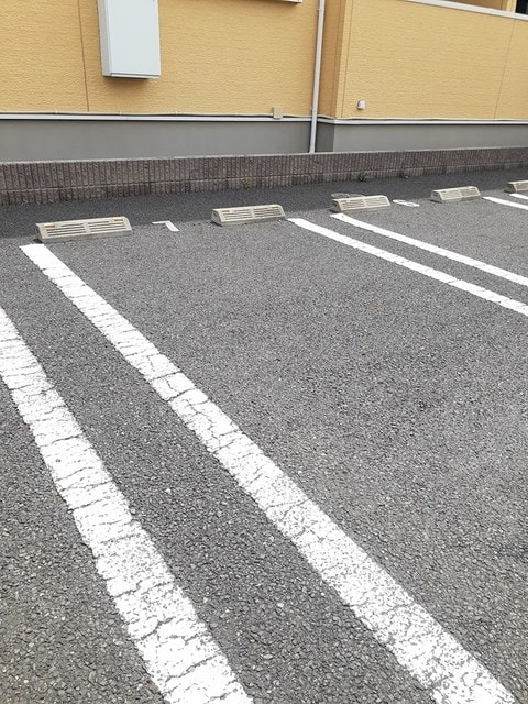  コリーヌ・ドレ