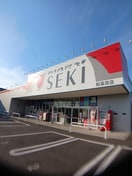ドラッグストア　セキ柏高田店まで1168m グランドール柏