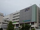 フィールズ南柏まで1200m ロックガーデン森Ｃ
