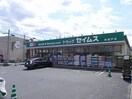 セイムス柏根戸店まで250m アフェクト　Ｋ