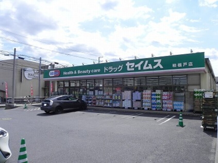 セイムス柏根戸店まで250m アフェクト　Ｋ