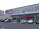 おっ母さん食品館 北柏店まで650m アフェクト　Ｋ