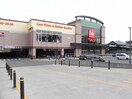 ベルク柏しこだ店まで1000m レオーネ