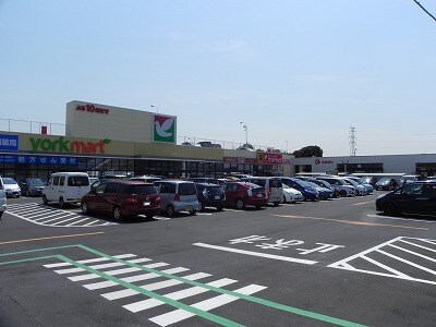 ヨークマート柏花野井店まで700m カーサボニートＩ