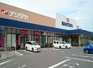 ナリタヤ　印旛日本医大前店まで3000m グランテリア瀬戸I　Ａ