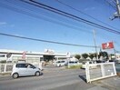 ジェーソン野田店まで140m ルピナス