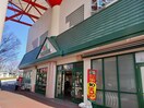 マルエツ北柏店まで600m キーファー・リーフ