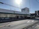 ジャパンミート卸売市場流山まで700m リトル・シャトウＹ