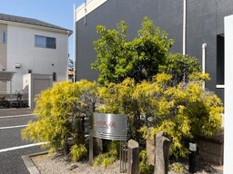 外観写真（昼）