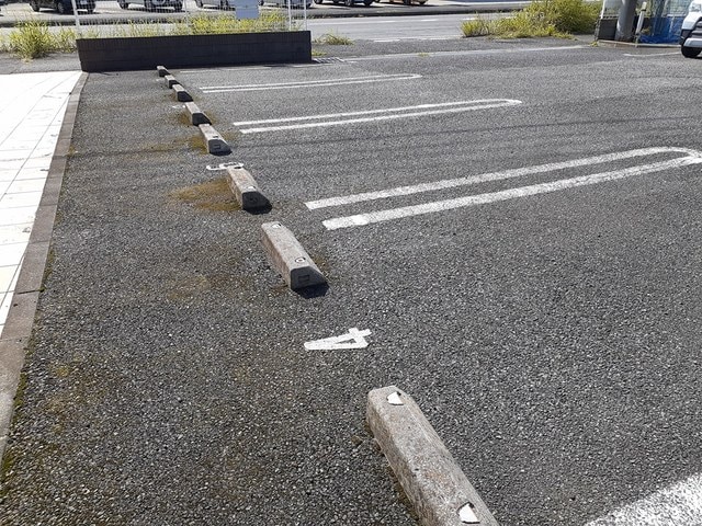  サンハウス花水木