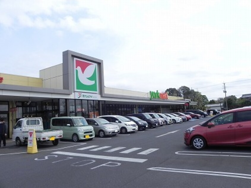 ヨークマート柏の葉公園店まで900m ラフレシールI