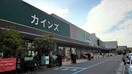 カインズ 千葉ニュータウン店まで3000m ルミエール鹿黒Ｂ