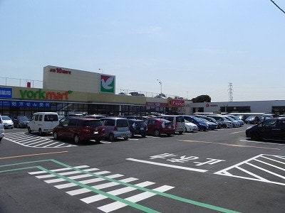 ヨークマート花野井店まで550m パルテール