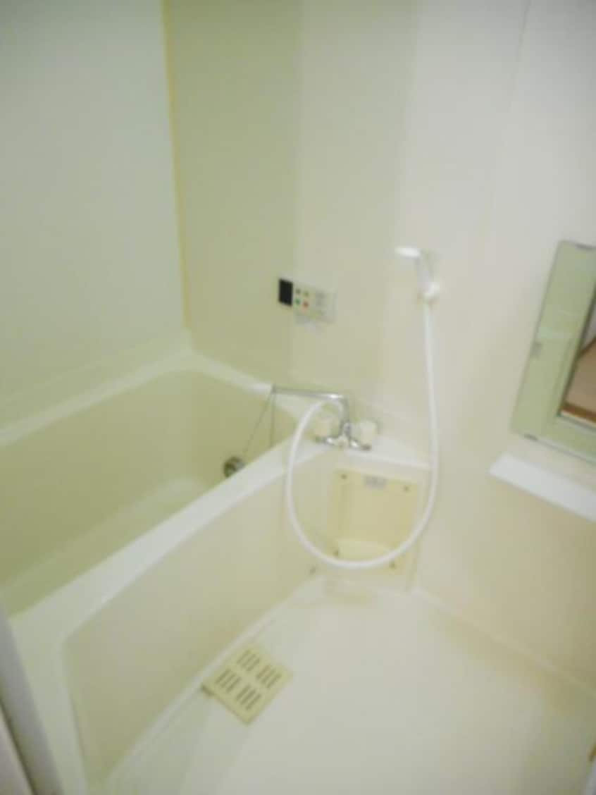  サニーキュート