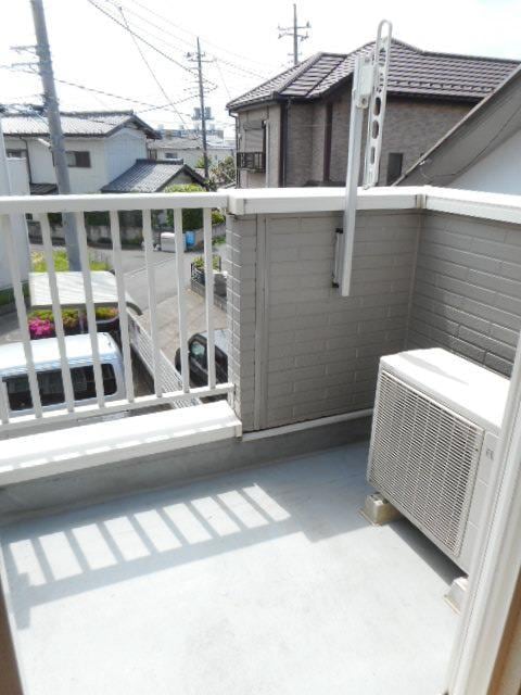  サニーキュート