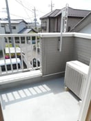  サニーキュート