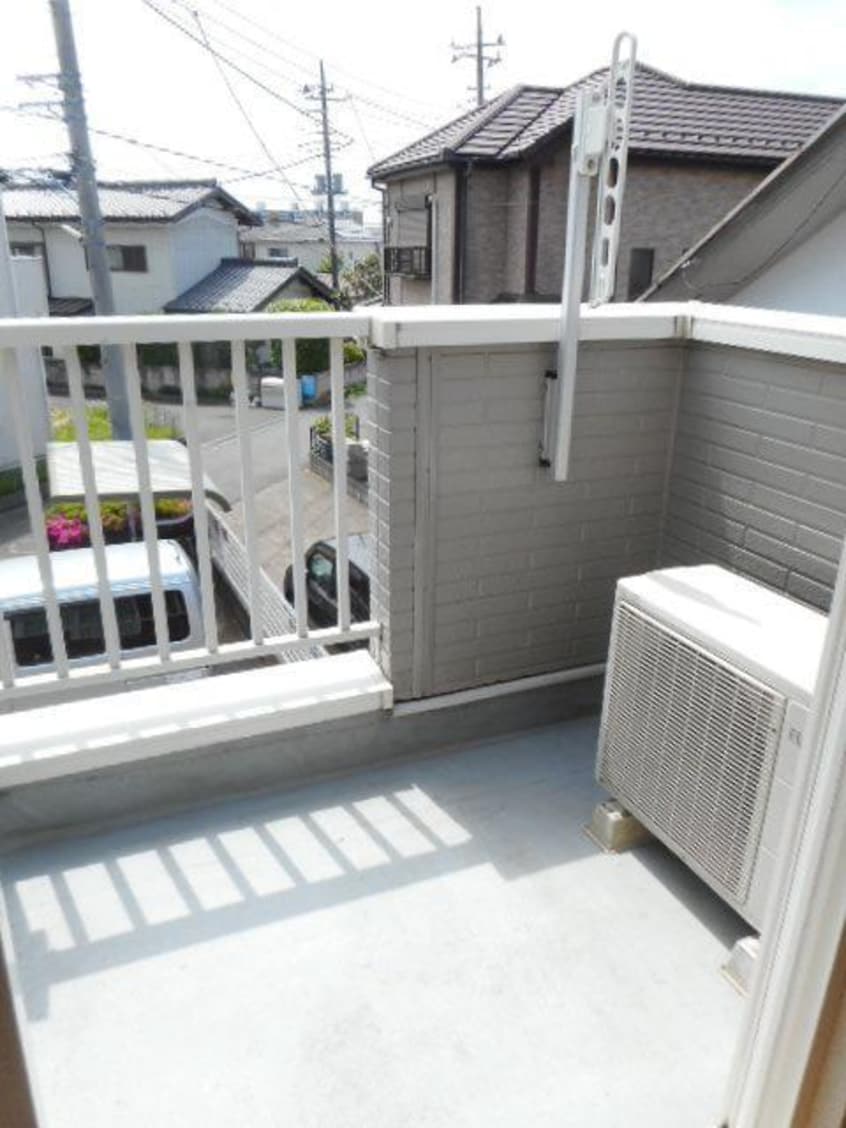  サニーキュート