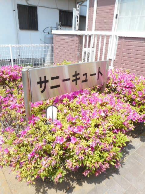  サニーキュート