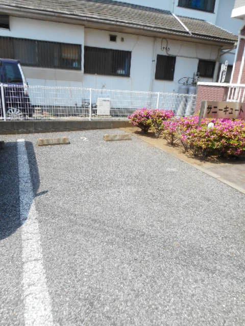  サニーキュート