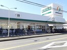 ジャパンミート卸売市場流山まで400m グラン　エリアール