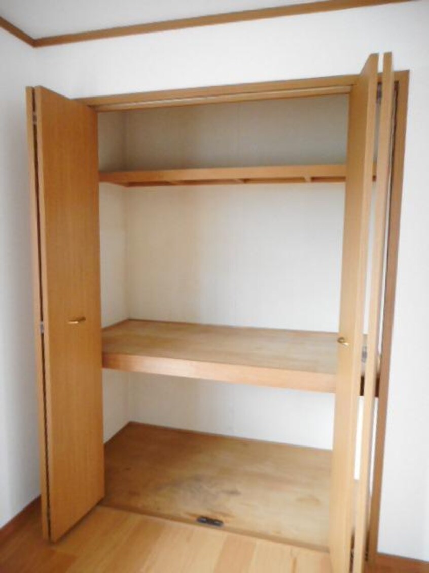  エレガンテカーサII