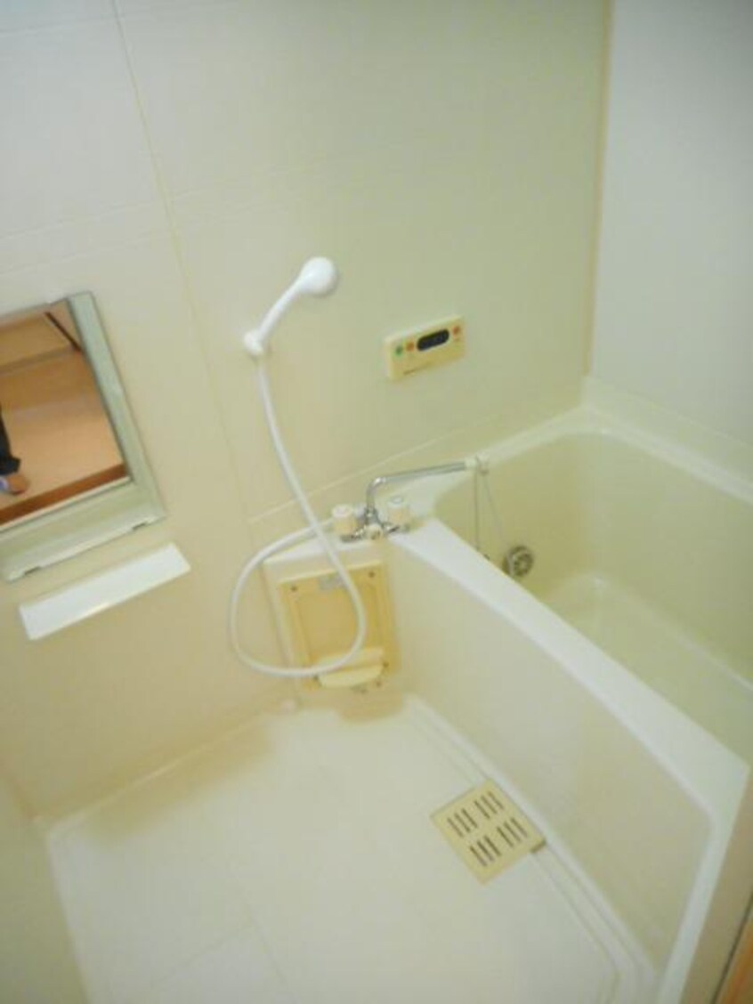  エレガンテカーサII