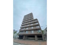 マッシモフェミニール菊水